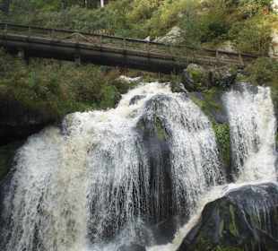 Triberger Wasserfall