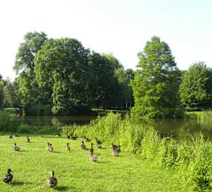 Neues Rathaus am Maschpark