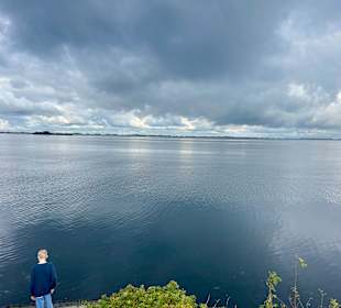 Ausblick