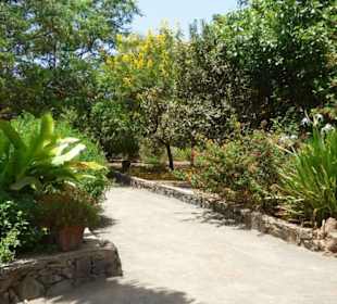 Schöner Garten