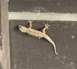 Sungei Buloh Wetland Reserve