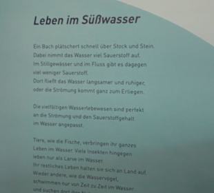 Museum für Naturkunde