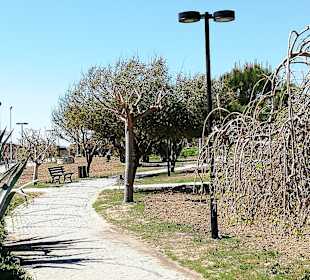 Strandpromenade Evrenseki