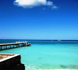 Im Bereich des National Parks