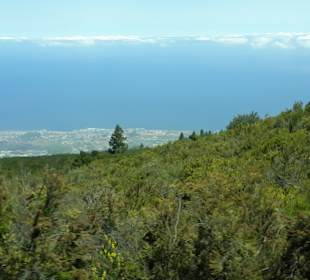 Inselrundfahrt AIDA Tagestour