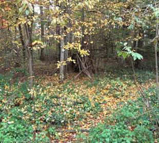 Herzog-Jäger-Pfad