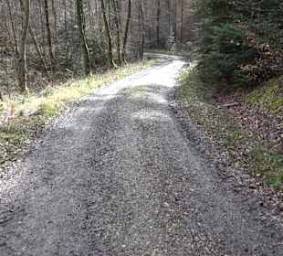 Gomaringer Rundweg - Zu den Giganten im Wald