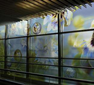 Flughafen Schiphol (AMS)