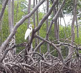 Tour & Ausflug Bayahibe