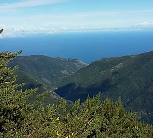 Inselrundfahrt Madeira