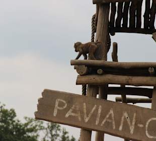 Pvaian-City liegt in Afrkia
