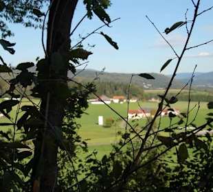 Bayerischer Wald