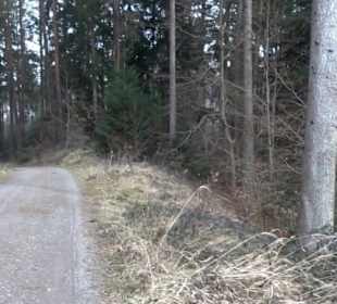 Rundwanderung durch den Rauhen Rammert Hemmendorf