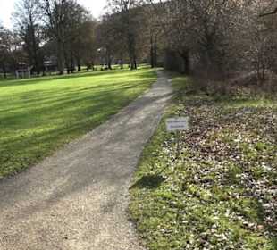 Natur im Park