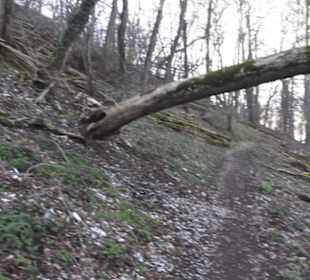 Wanderweg zur Achalm