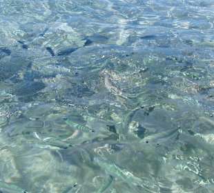 Haben immer an der gleichen Stelle gewartet