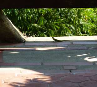 Berg und Tal Tour – Oktober 2014