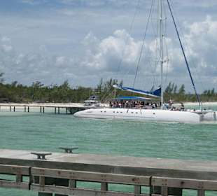 Delfin Tour Cayo Blanco