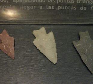 Braun-Menéndez-Museum