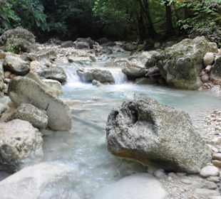 Dschungel Trekking Tour