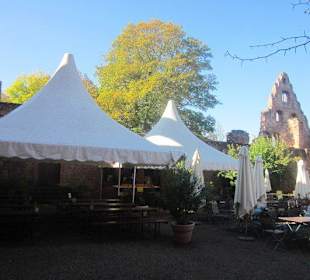 Klosterruine Limburg