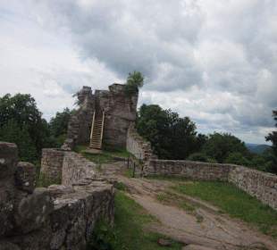 Die Wegelnburg