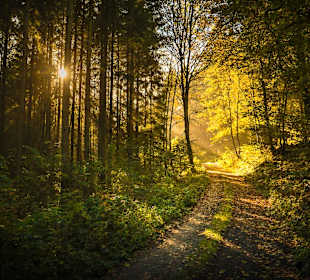 Wandern Geisfeld