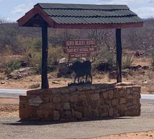 Safari Tsavo West 