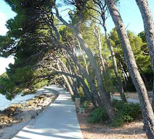 Promenade