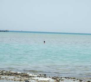 Zeytouna Beach