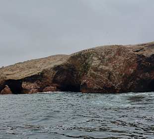 Ausflug Ballestas Inseln