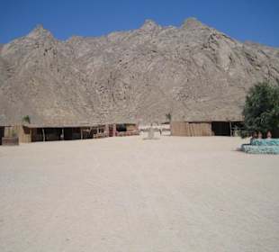 Blick auf Beduinendorf