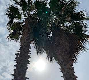 Uferpromenade