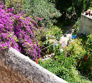 Blick über die Stadtmauer Alcudia