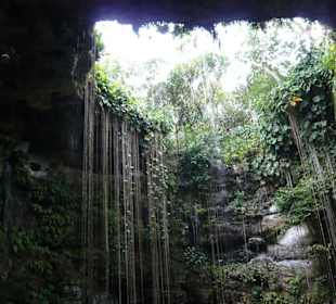 Baden in der Cenote