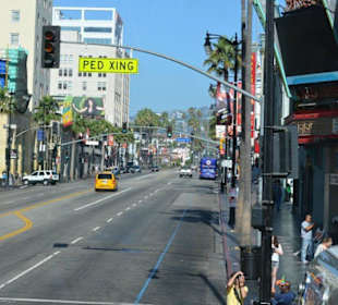 Hollywood Boulevard