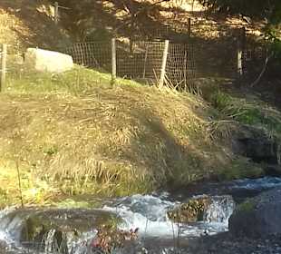 Wandern Zella-Mehlis