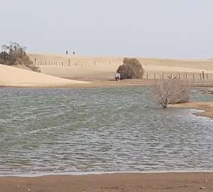 Strand Playa del Ingles