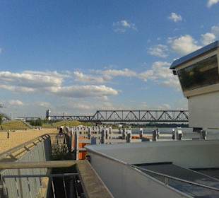 Ein Containerschiff direkt vom Lokal