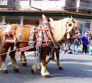 Landwehr Bräu Reichelshofen