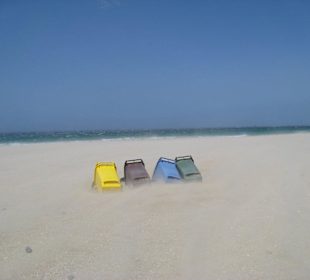 Motiv am Strand von Zahara