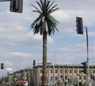 Am Rondo gen. Charles'a de Gaulle'a