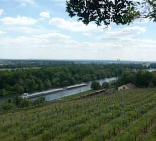 Auf den Rundwanderweg Höllental und Mainblick
