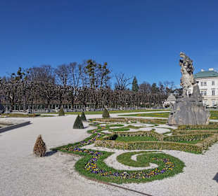 Mirabellgarten