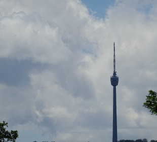 Fernsehturm vom Rosensteinpark aus gesehen