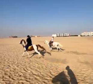 Reiten in der Wüste