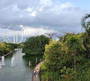 Gardens by the Bay 