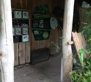 Tierpark Hellabrunn - Welt der Affen