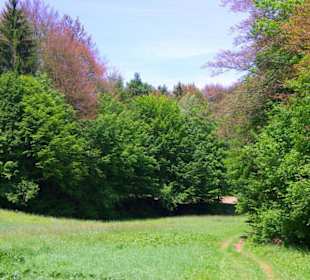 Wanderung zum Bärenfels
