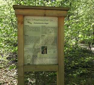 Wanderweg Hochgehwachsen